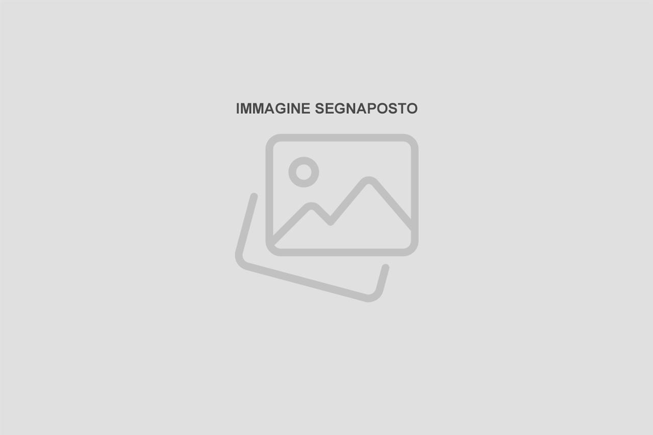 immagine-segnaposto